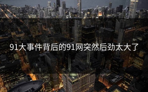 91大事件背后的91网突然后劲太大了